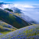 Image for article titled Luminous Nature Photographs Will Restore Your Sense of Wonder